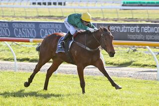 Humble Pie (NZ) Impresses in New Zealand Bloodstock Three-Year-Old. Photo: Race Images South